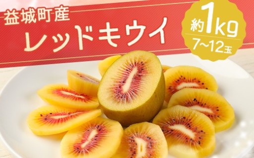 益城町産 レッドキウイ 約1kg（7～12玉）