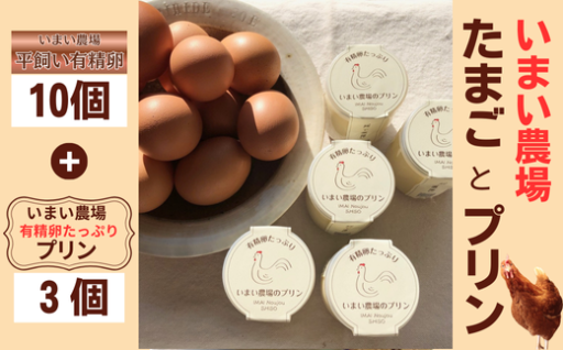 いまい農場こだわり「たまご」「プリン」のセット