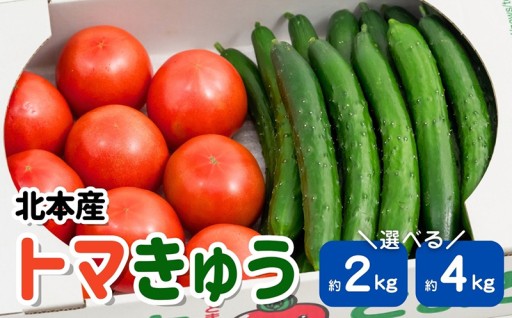 【季節限定！】トマト きゅうりセット 選べる計約2kg または 約4kg 