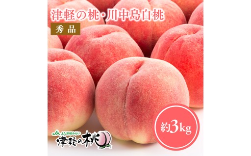 ≪8月下旬～9月中旬発送予定≫ 津軽の桃 川中島白桃 約3kg  秀品 