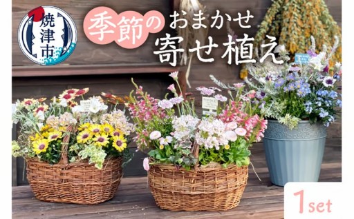 a21-055　季節のおまかせ寄せ植え