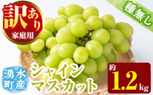 ≪先行予約受付中！2026年8月中旬以降順次発送≫ 訳あり！シャインマスカット(約1.2kg)【大倉野 隆】