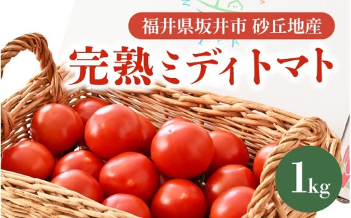【農家直送】薄皮で甘みと酸味の絶妙バランス🍅✨