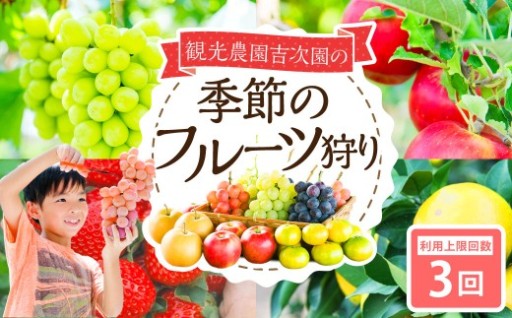 観光農園吉次園の「旬を味わうフルーツ狩りパスポート」（計3回）