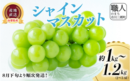 シャインマスカット約1～1.2kg (2～3房)