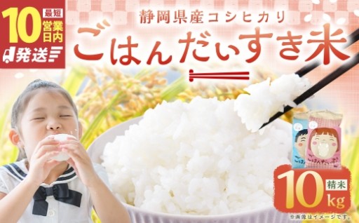 【10営業日発送】【令和7年産】静岡県産コシヒカリ 精米 10kg （5kg×2袋）