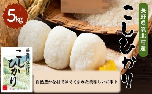 筑北村産 こしひかり（5kg）