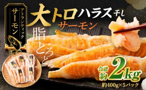 アトランティックサーモン 大トロサーモンハラス干し 約2kg 