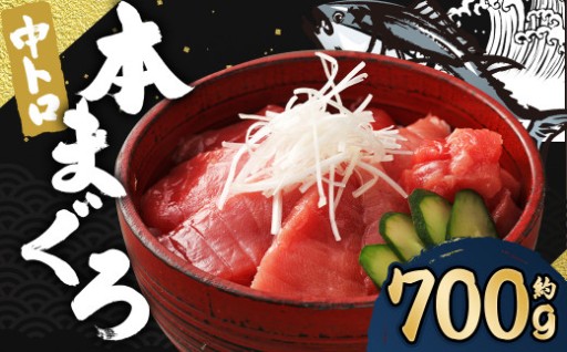 長崎県産 本マグロ「中トロ」約700g