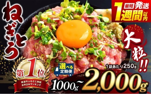 【選べる容量】 大人気！ ねぎとろ 1000g～2000g（ 250g 小分け） 最短1週間以内発送