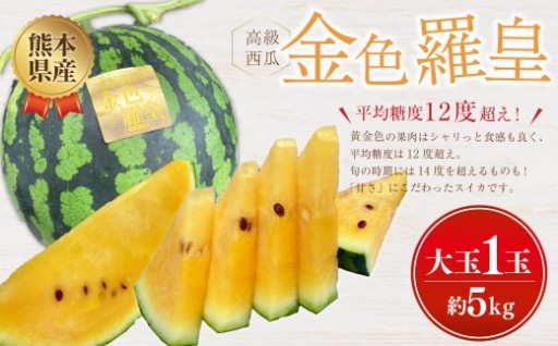 熊本県産 金色羅皇 ( 高級 西瓜 ) 約5kg 1玉【2026年5月下旬発送開始】