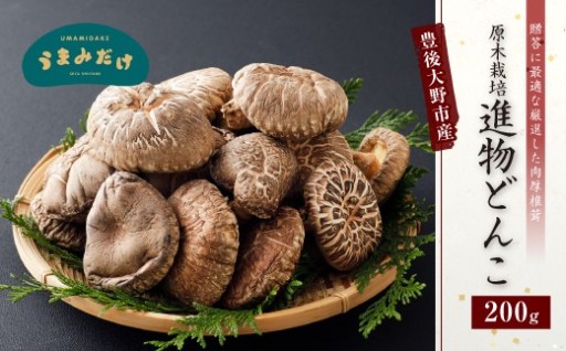 豊後大野市産 進物 どんこ 200g 