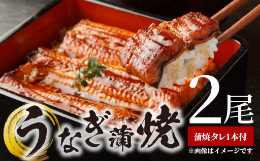 うなぎ蒲焼 2本 角長特製蒲焼タレ 1本 セット