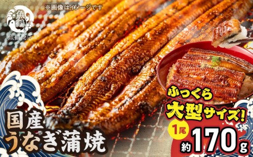 【ふるさと納税】大型サイズ ふっくら柔らか 国産うなぎ 蒲焼き 化粧箱入 1尾