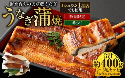 海水育ちの天草藍うなぎ 蒲焼 2～3尾セット 合計約400g タレ付き