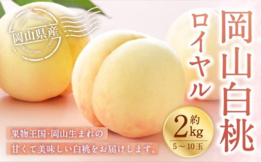 岡山白桃 ロイヤル 5～10玉 約2kg【 2026年7月上旬～8月下旬発送予定 】