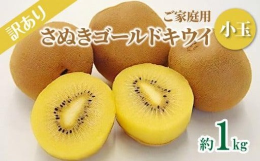 訳あり ご家庭用 さぬきゴールドキウイ (小玉) 約1kg