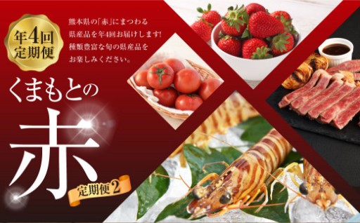 【年4回定期便】「くまもとの赤」定期便②