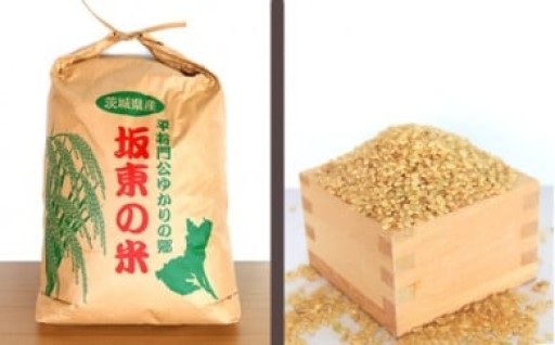 【令和7年産】茨城県坂東産　コシヒカリ20kg（玄米）の寄附受付を開始しました！