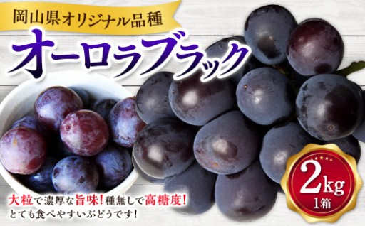 オーロラブラック 2kg  【2026年8月上旬-9月下旬発送予定】