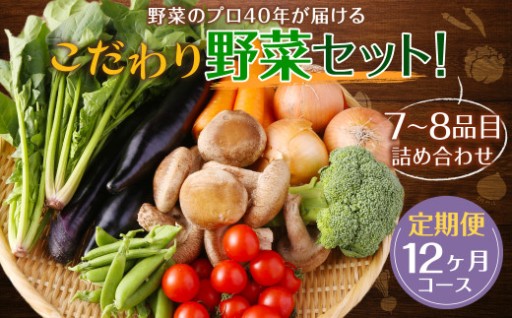 【定期便 毎月コース】 野菜のプロ40年が届けるこだわり野菜セット！ 7～8品目 詰め合わせ