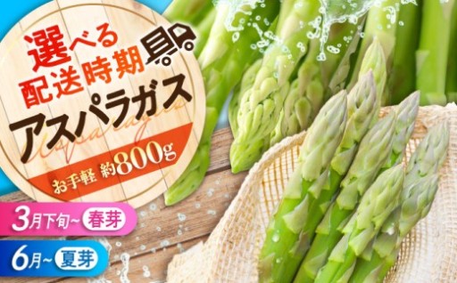 ＼鮮度抜群！／シャキッと甘い朝採れアスパラガス