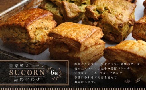 自家製 スコーン 詰め合わせ 100g × 6個入り