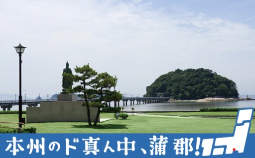 蒲郡市の魅力が詰まったお礼の品の数々をご覧ください！