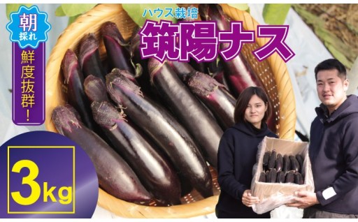 新鮮！採れ立ての茄子を生産者直送！