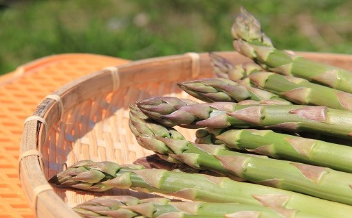 太陽の光いっぱいに浴びて育ったグリーンアスパラ