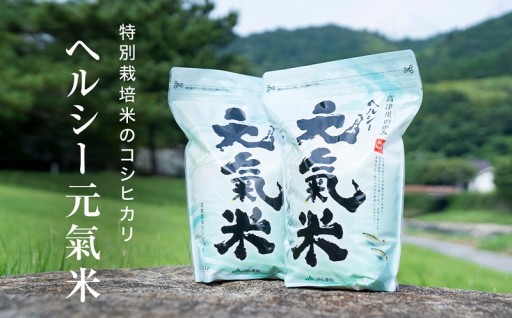 ヘルシー元氣米2kg×2袋(令和7年産)