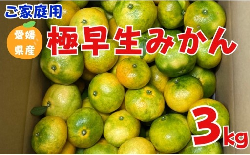 【数量限定】先行予約受付中🍊極早生みかん 3kg ご家庭用 ✨農園直送✨