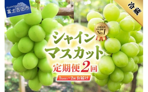 【定期便】厳選シャインマスカット1kg以上×2回