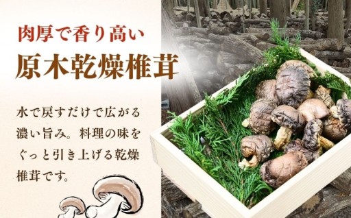 時間と自然がつくる、特別な椎茸（しいたけ）。