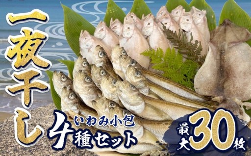 【日本海よりお届け！】鳥取県岩美町★いわみ小包（海）＜海産物一夜干し＞