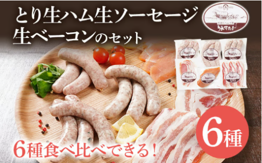 【BBQやキャンプのお供にも🥓】とり生ハム 生ソーセージ 生ベーコンのセット（Lセット）
