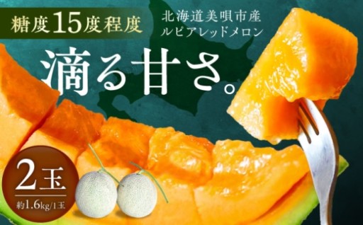 夏限定！糖度15度の赤肉メロン2玉