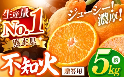 【数量限定】不知火 約5kg