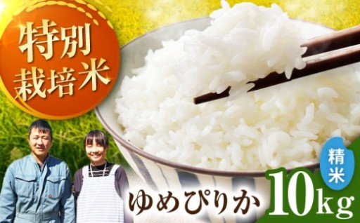 特別栽培！伊藤農園ゆめぴりか10kg