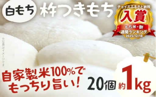 【予約受付、再開しました🌟】餅 白もち 杵つき餅 20個 約1kg【11月上旬より順次出荷予定】