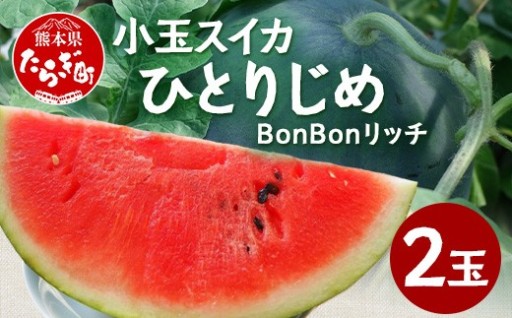 【8月上旬～発送】小玉スイカ ひとりじめ BonBonリッチ 2玉