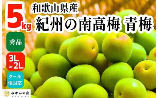 ［2026年6月上旬出荷］青梅 南高梅 5kg 秀品 3Lまたは2Lサイズ 