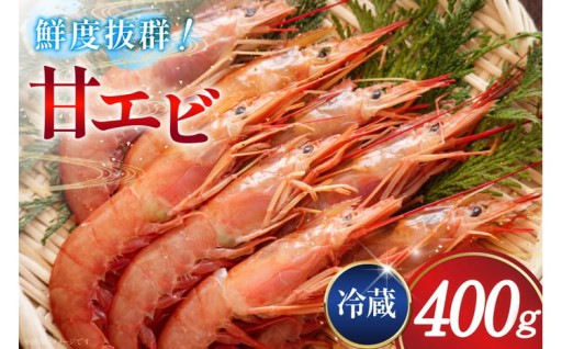 鮮度抜群！ぷりっぷり！新鮮甘エビ