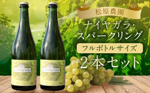 「ナイヤガラ・スパークリング」フルボトル（750ml×2本）計1500ml セット