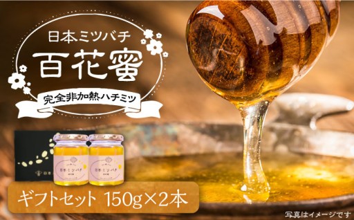 春の贈り物に♪日本ミツバチの百花蜜🍯