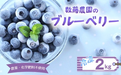 冷凍ブルーベリー 2kg 農薬・化学肥料不使用