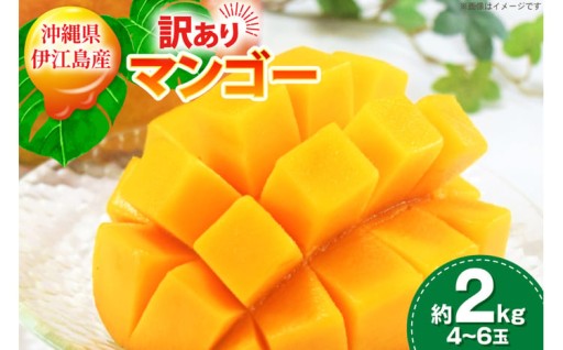 島育ちの贅沢!完熟伊江島マンゴー