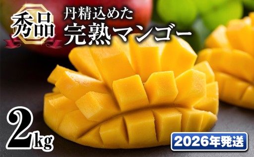 【2026年発送】「秀品」丹精込めた完熟マンゴー2kg　4玉～6玉