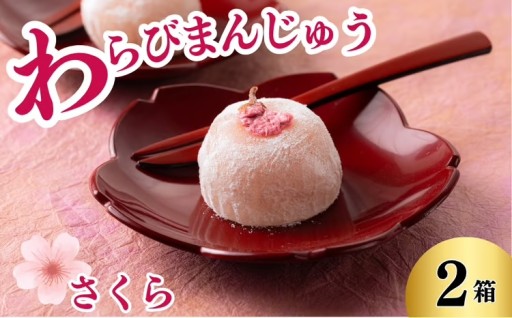 【期間限定】工藤菓子店「わらびまんじゅう」さくら