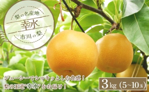 市川の梨 幸水 3kg（5～10玉）